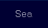 TR Shipping Services Ltd